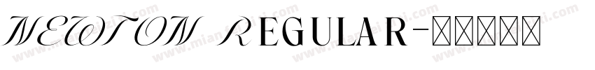NEWTON Regular字体转换